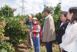 Huyện Buôn Đôn: Hoàn thành đạt và vượt 16/18 chỉ tiêu phát triển kinh tế - xã hội